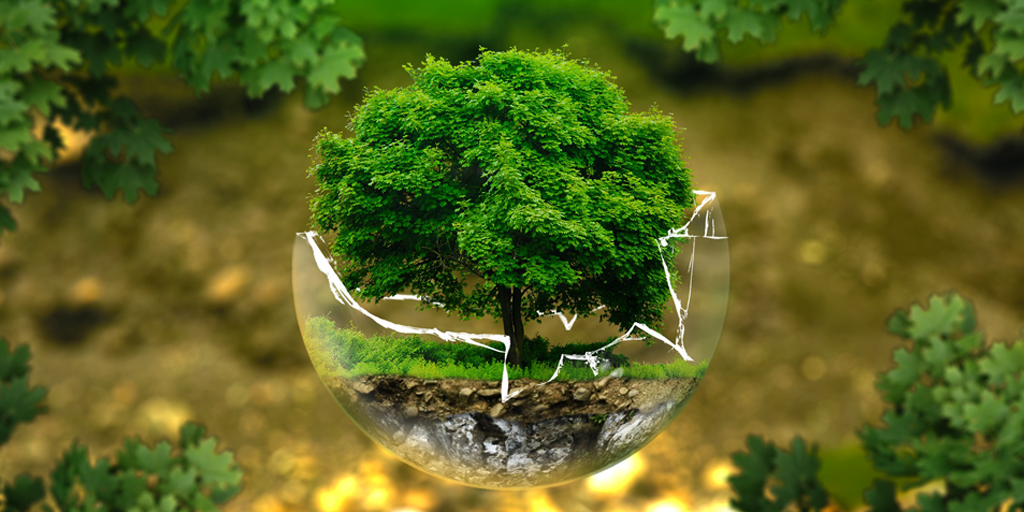 PepsiCo Seeking: Food Packaging Reuse Models & Platforms-image depicting a tree in a broken glass sphere