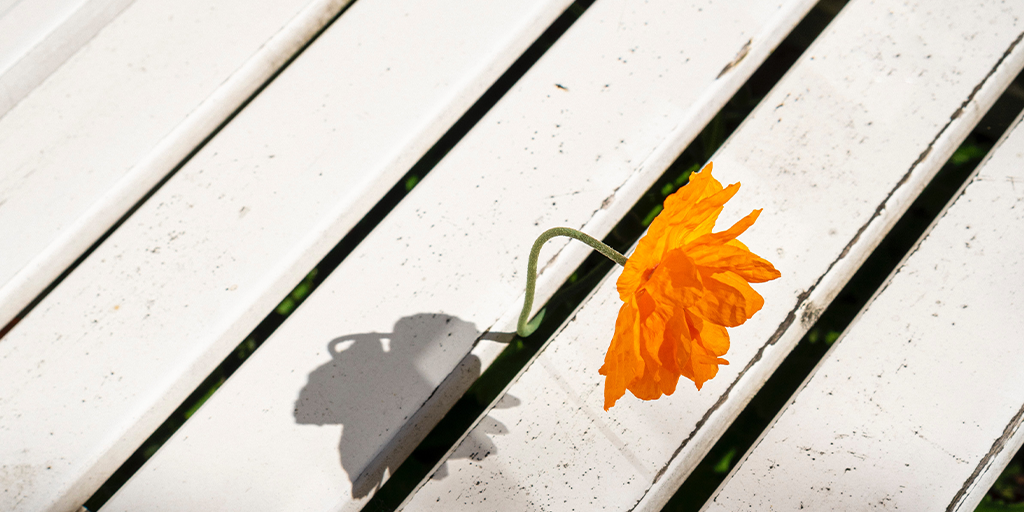 The Unexpected ROIs of Open Innovation Portals Banner Image with an orange flower growing through the slats of a deck.