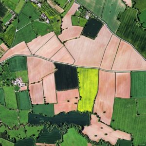 Aerial shot of a crop field