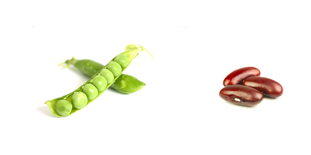 Taste Modulators for Plant Proteins-image of peas in a pod and a second pod and three kidney beans on a white background
