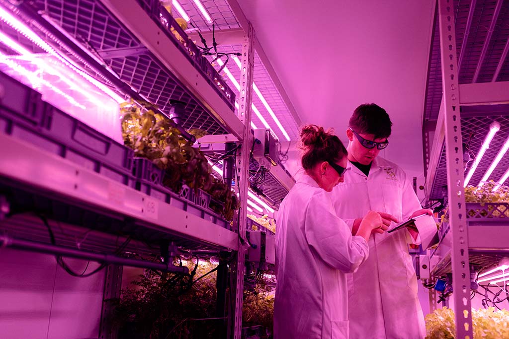 Life Science Open Innovation Project Leader-Image of two scientists examining results in a a grow room