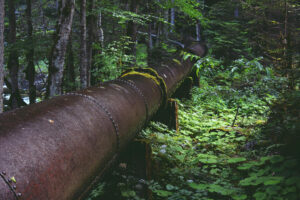 water pipeline in the forest