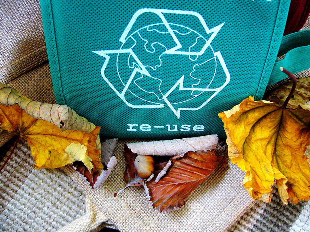 green bag with a recycling logo and yellow and orange leaves in the foreground