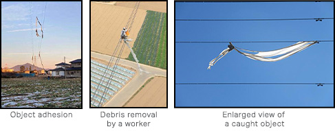 Examples of Debris on Power Lines