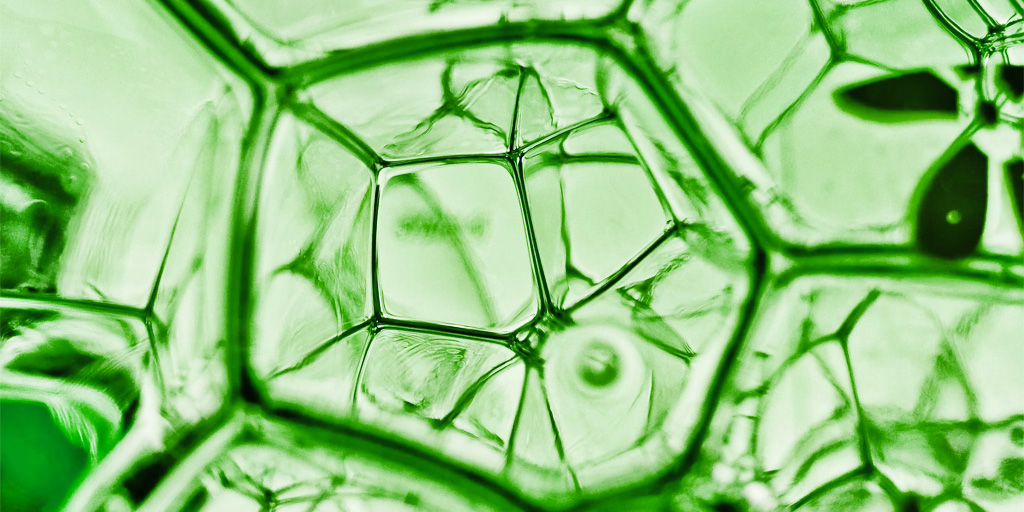 Green Bubbles—Polysaccharide Sources